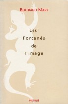 Les forcenés de l'image